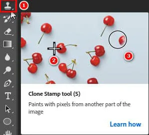 Clone Stamp Tool