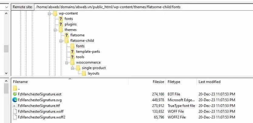 Cách thêm font chữ vào wordpress